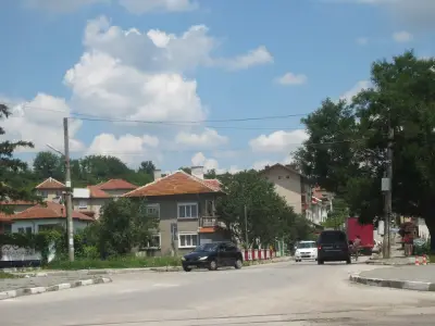 ЦВЕТИНА МЕЗДРА ЕООД