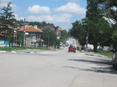 ЦВЕТИНА МЕЗДРА ЕООД