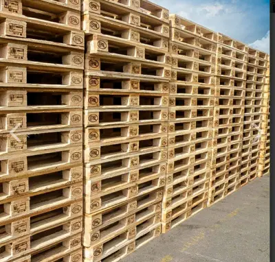 Sokrates LTD