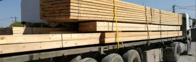 Sokrates LTD