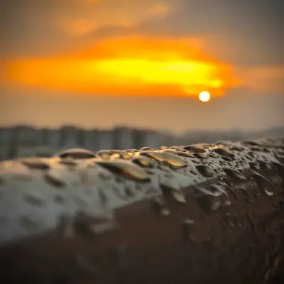 ArtKostov Photography
