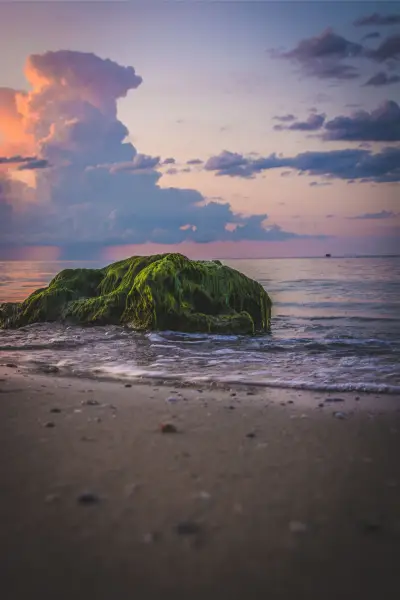 ArtKostov Photography
