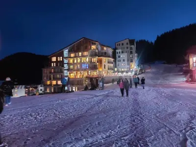 The Bear Pamporovo
