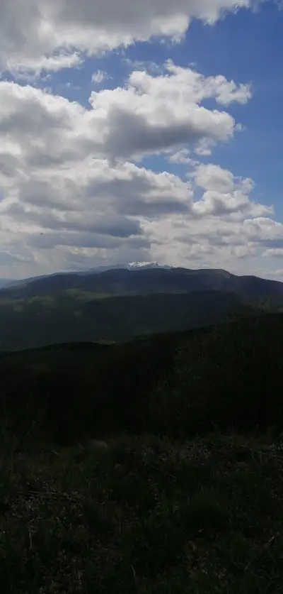 подковата "Търсовец"