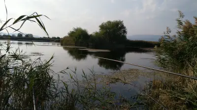 Мечкаревските дупки