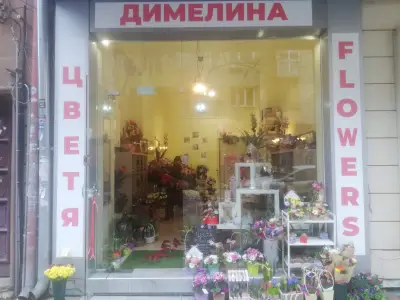 Бутик за цветя и чудеса Димелина