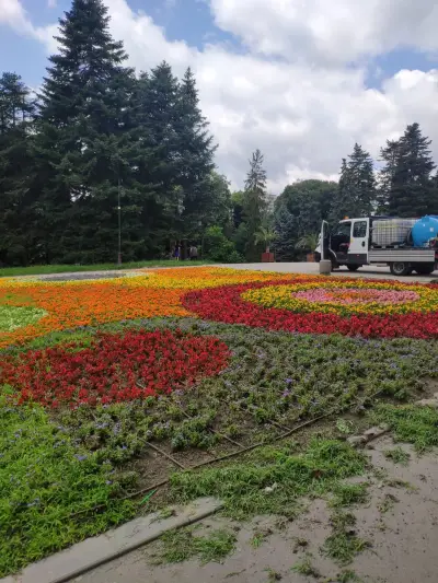Градина на розите