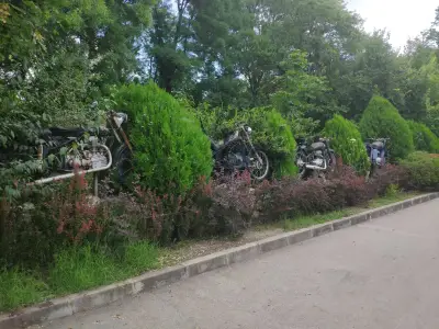 Градина на розите