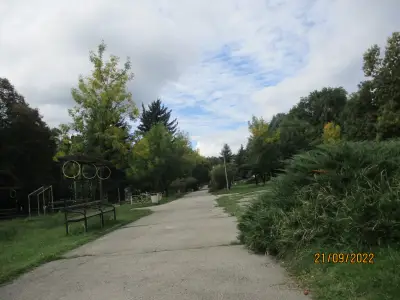 Паркинг