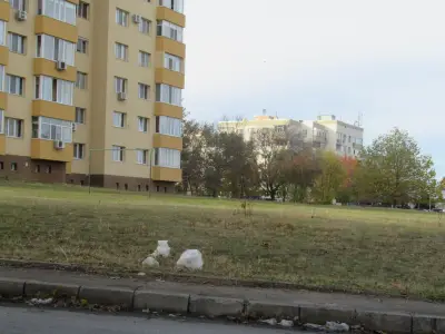 Поща Орел