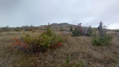 Връх Песченик