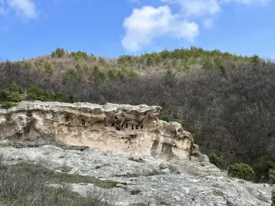 Жълтата скала