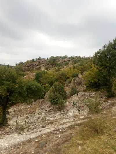Адам Кая - Човекът-камък