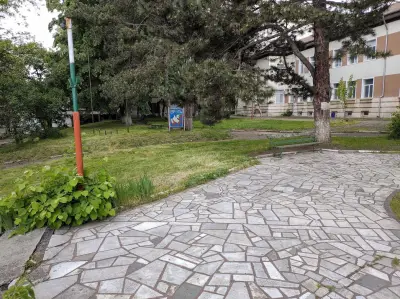 ПРОФЕСИОНАЛНА ГИМНАЗИЯ ПО МЕХАНИЗАЦИЯ НА СЕЛСКОТО СТОПАНСТВО