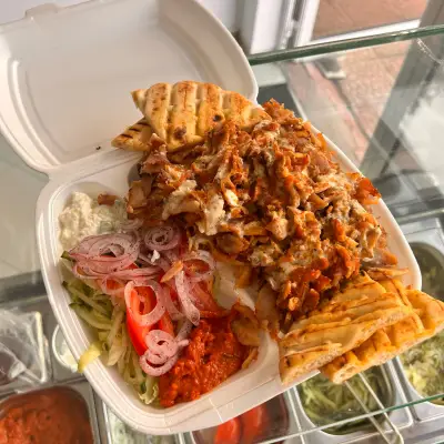 Mr. GYROS