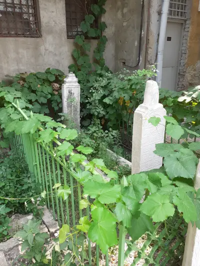 Гробът на Осман Пазвантоглу
