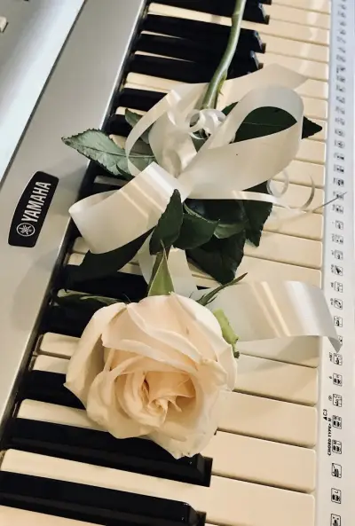 Amadeus‘ Arts