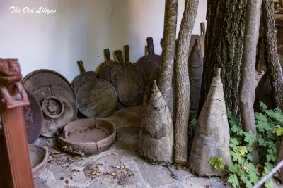 Музей на дървото