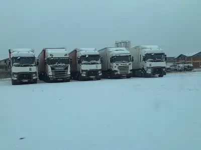 Сертранс България