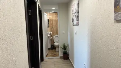 Apartment Zdravets