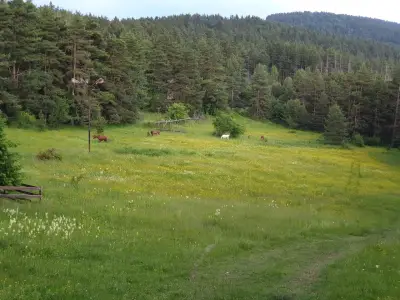 Къща за гости „Михаела“, хижа Здравец