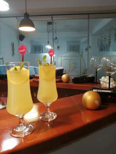 Tina Guest House Basarabi Dolj
