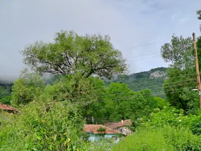 Ethno House "Nikolov"