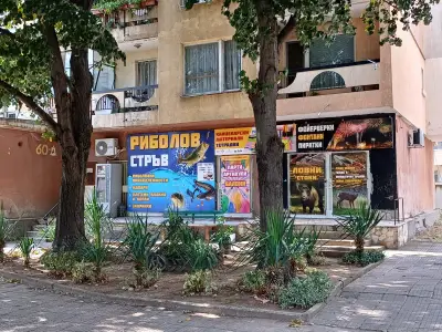Book store and fishing