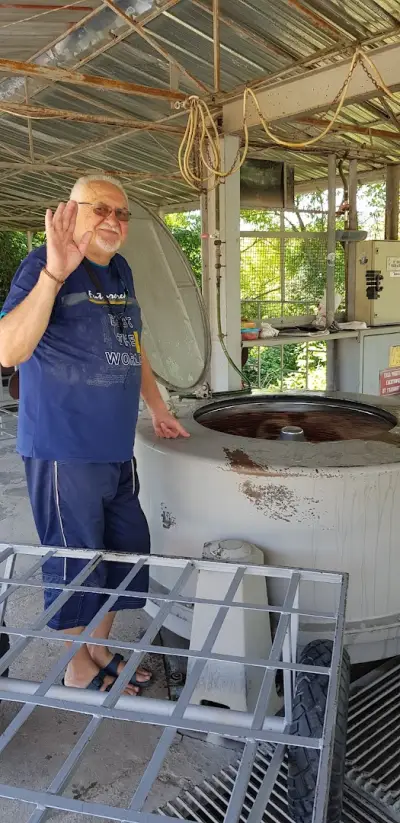 При Цеца