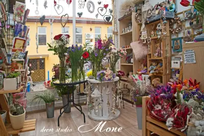 Decor Studio Mone