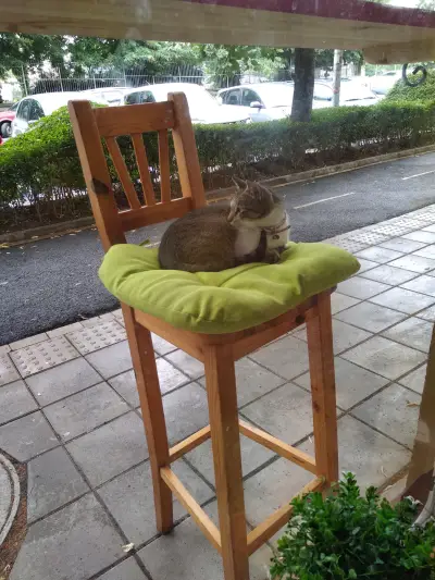 Coffee Inn