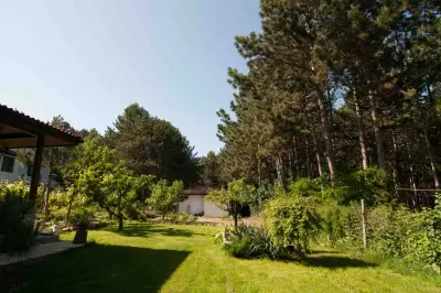 Forest House