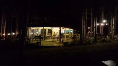 Forest House