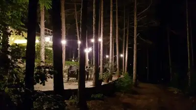 Forest House