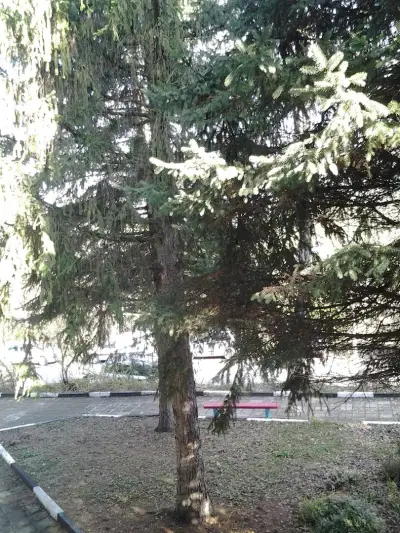 Специализирана болница за продължително лечение и рехабилитация по вътрешни болести - Мездра