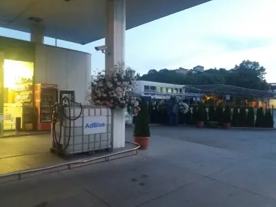 Свищов