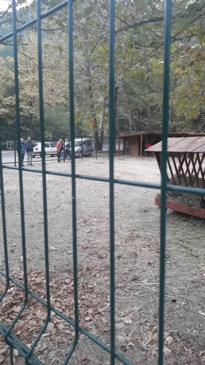 Общински бутиков ЗООКЪТ "Св. Димитър"