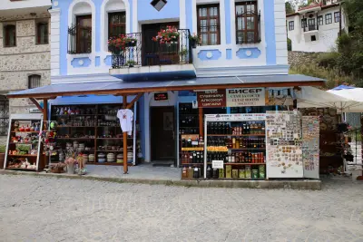 Синята Къща Blue House