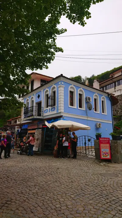 Синята Къща Blue House