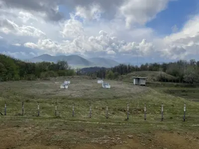 Летящата чиния