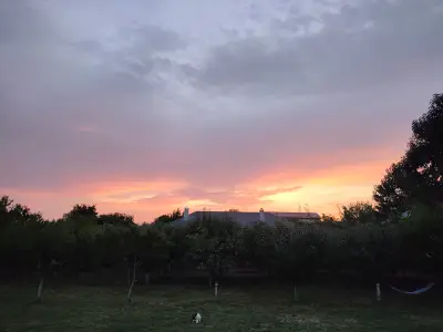 Edelweiss guesthouse, glamping and camping