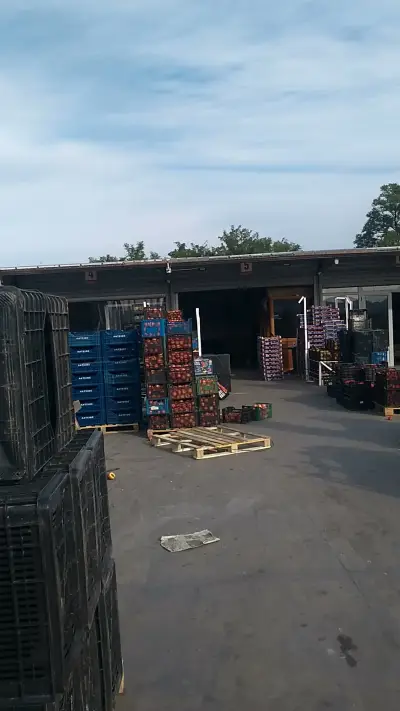 СтилАгро