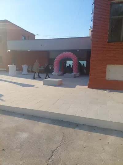 ЦПЛР ОДК ПЕТРИЧ
