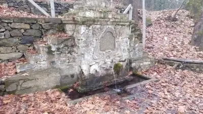 The White Fountain