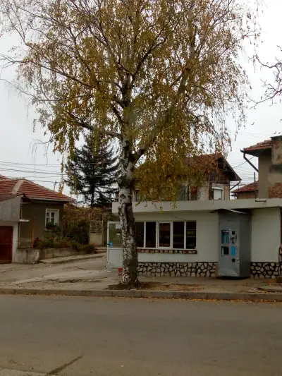 Брезата