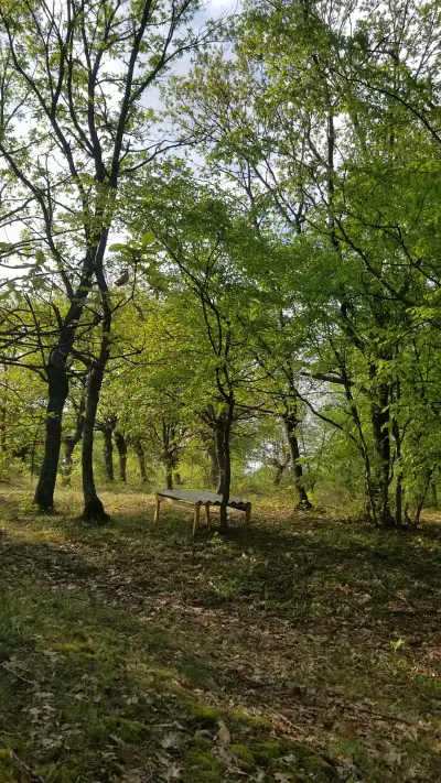 Бегови бараки