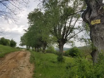 Бегови бараки