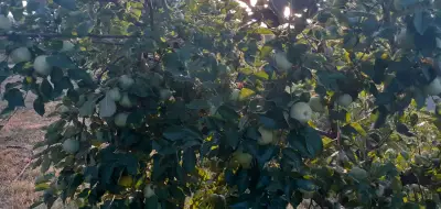 Ресторант "Рай"