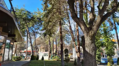 Адоре