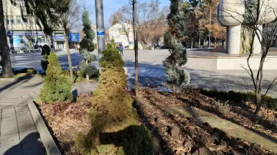 Адоре